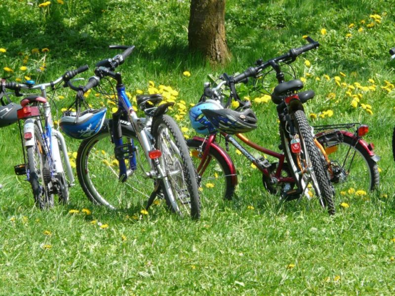 Neljä nuorten pyörää nurmikolla
