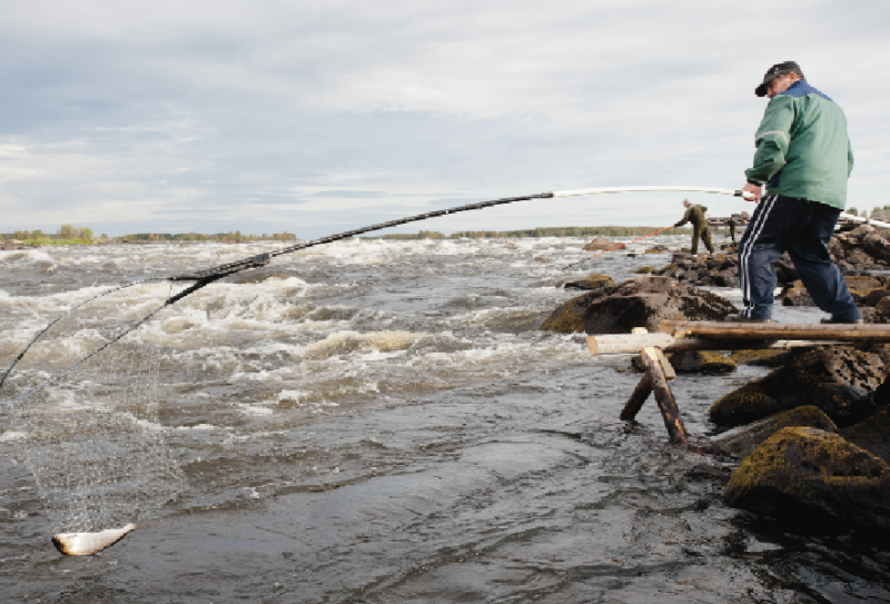 Kalastajia Tornionjoen rannalla